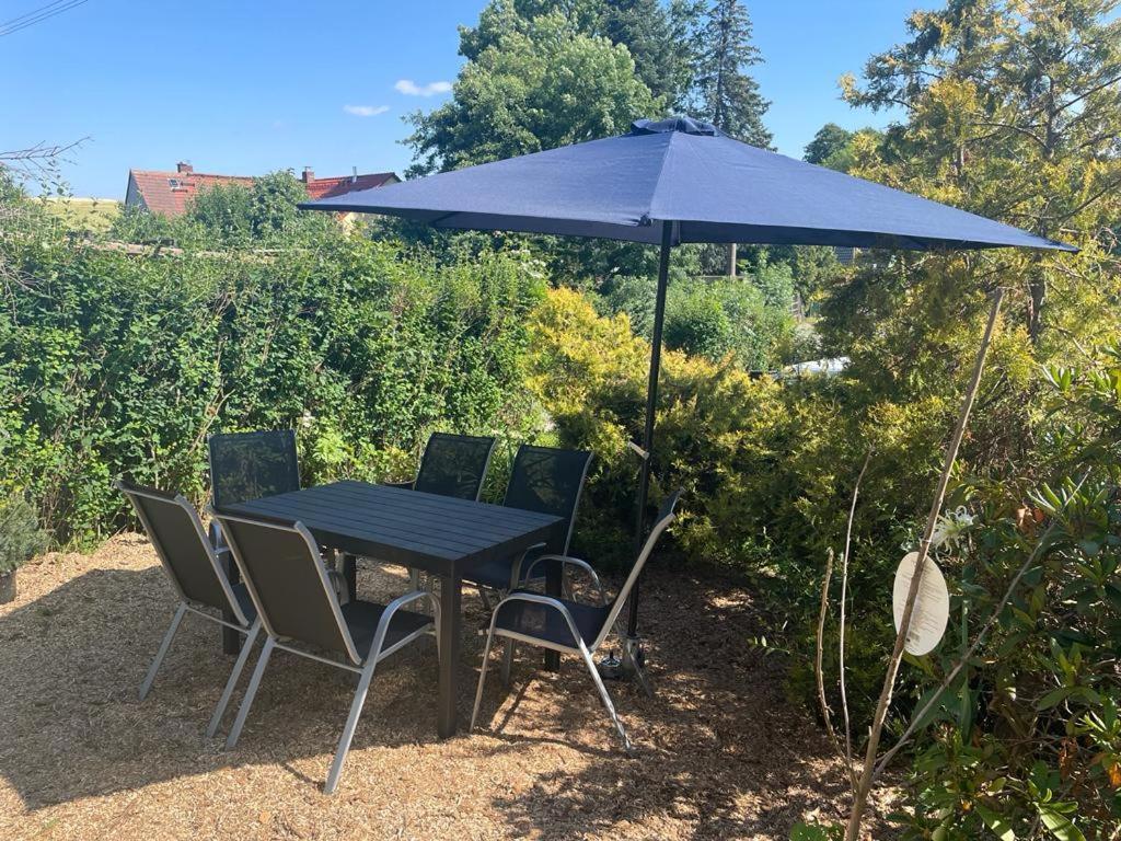 Apartment Monteur Ot Kleinwaltersdorf Mit Aussensitzecke Und Grill